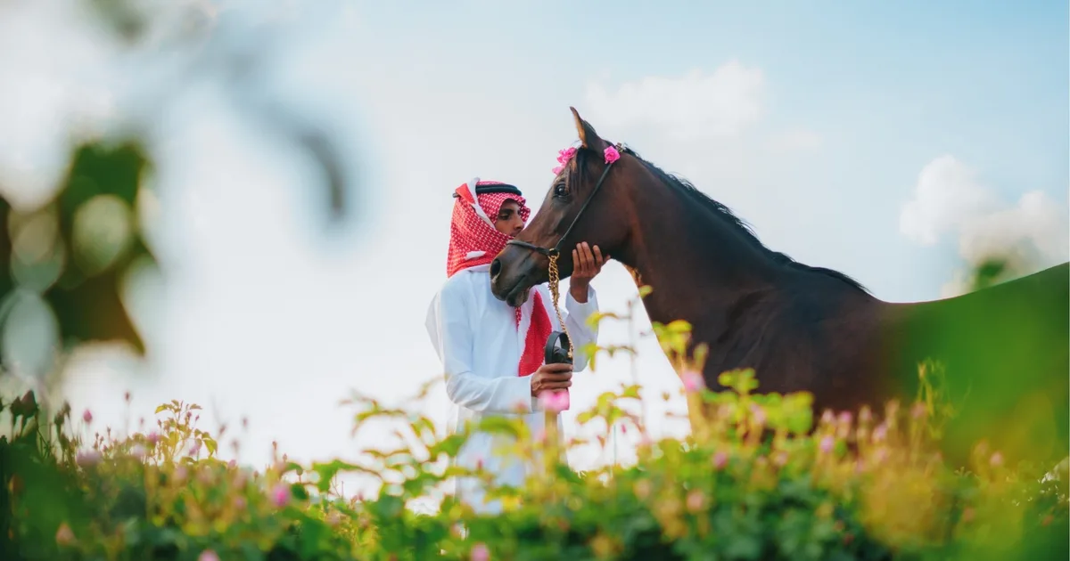 موسم حصاد التمور السعودية 2026: أرقام قياسية في الإنتاج والصادرات