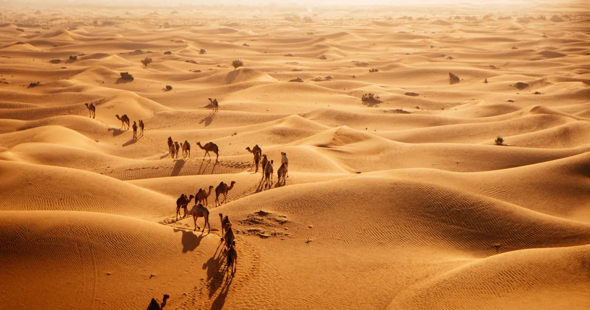 ما هي أهم اكتشافات التعدين في السعودية 2026؟