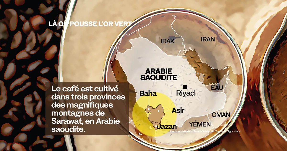 Les créateurs saoudiens à l'honneur