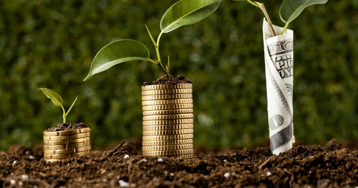 Les secteurs clés de l'investissement