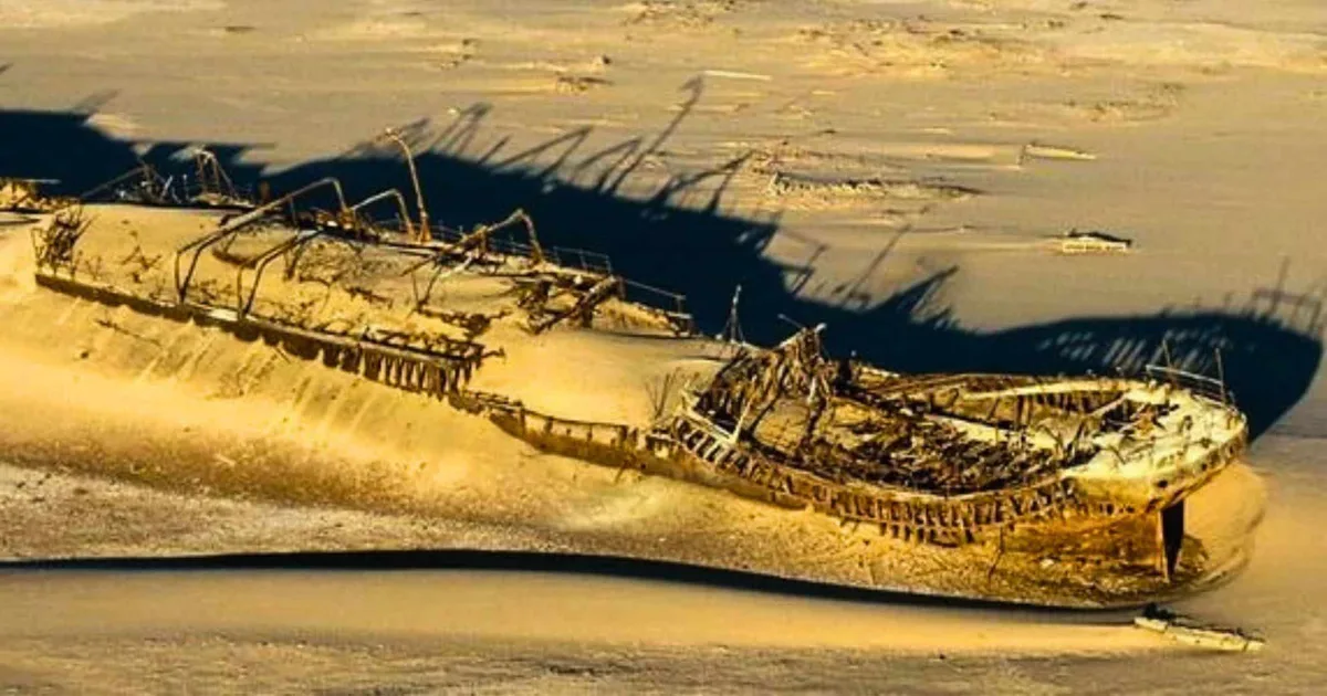 Introduction: The Desert's Hidden Treasure