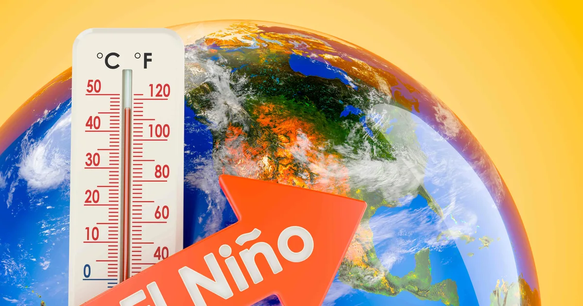 El fenómeno NEOM y su atractivo global