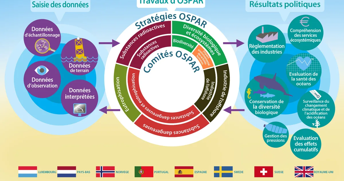 Les piliers de la coopération