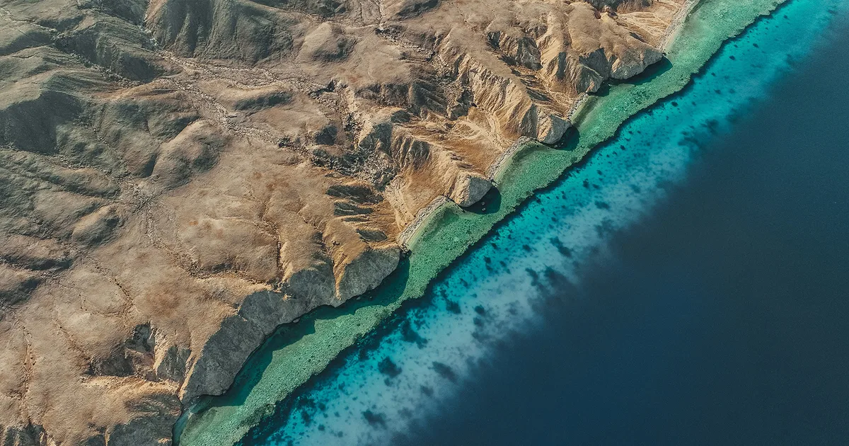 Die Siemens-Rolle in NEOM: Von Energie bis Digitalisierung