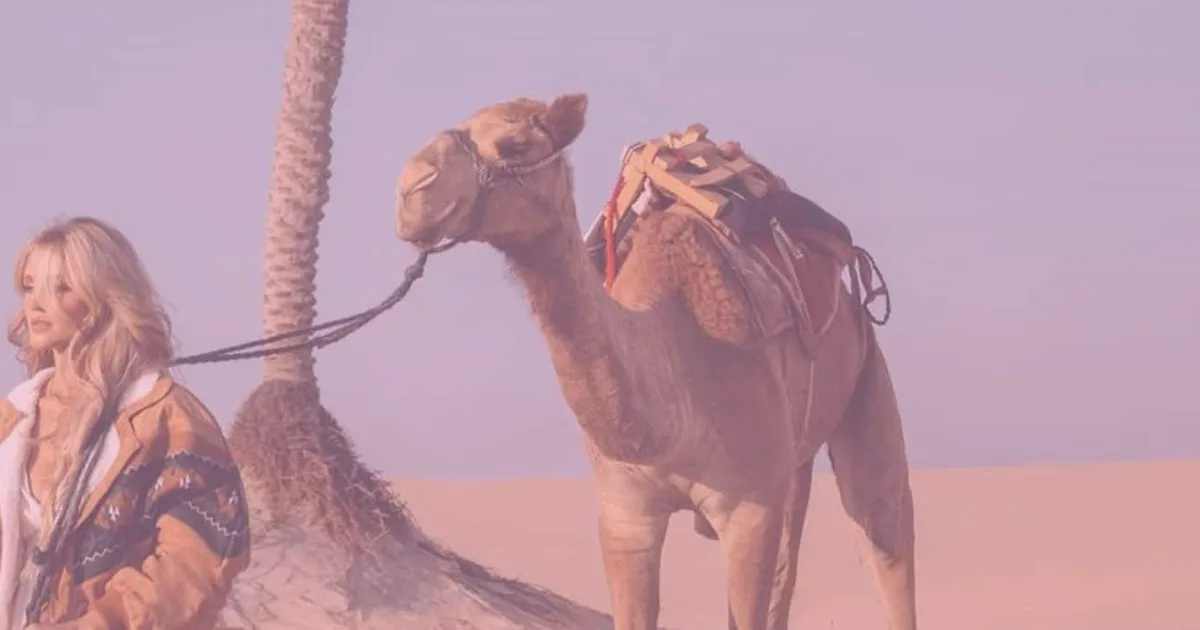 لماذا تلجأ السعودية إلى المؤثرين الافتراضيين في حملاتها السياحية؟