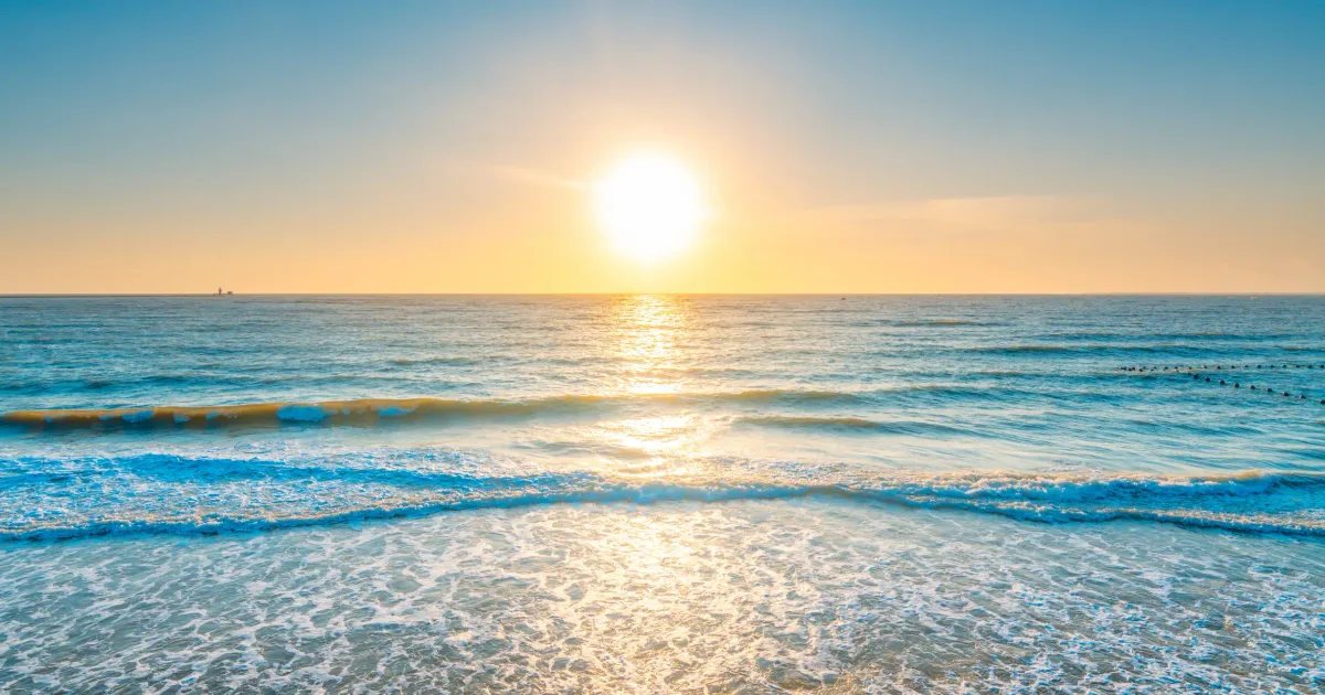 توسع إدخال التقنيات الروبوتية اليابانية إلى السعودية: فجر تعاون جديد في 2026 - صقر الجزيرة