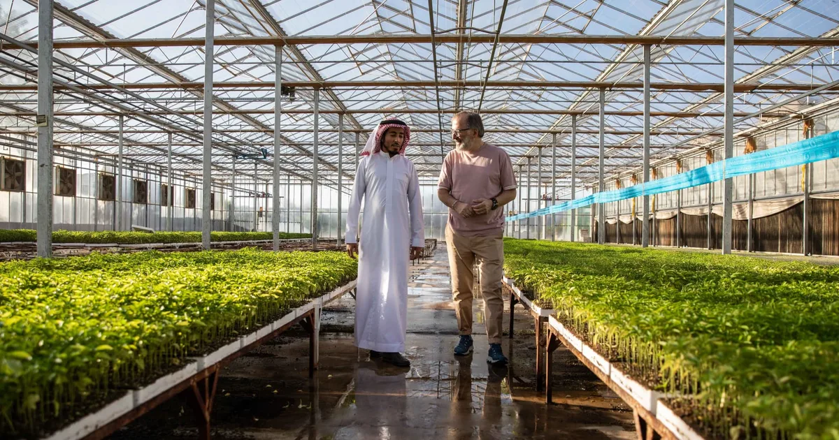 الزراعة الذكية في السعودية: الابتكار التقني يقود الأمن الغذائي والاستدامة البيئية