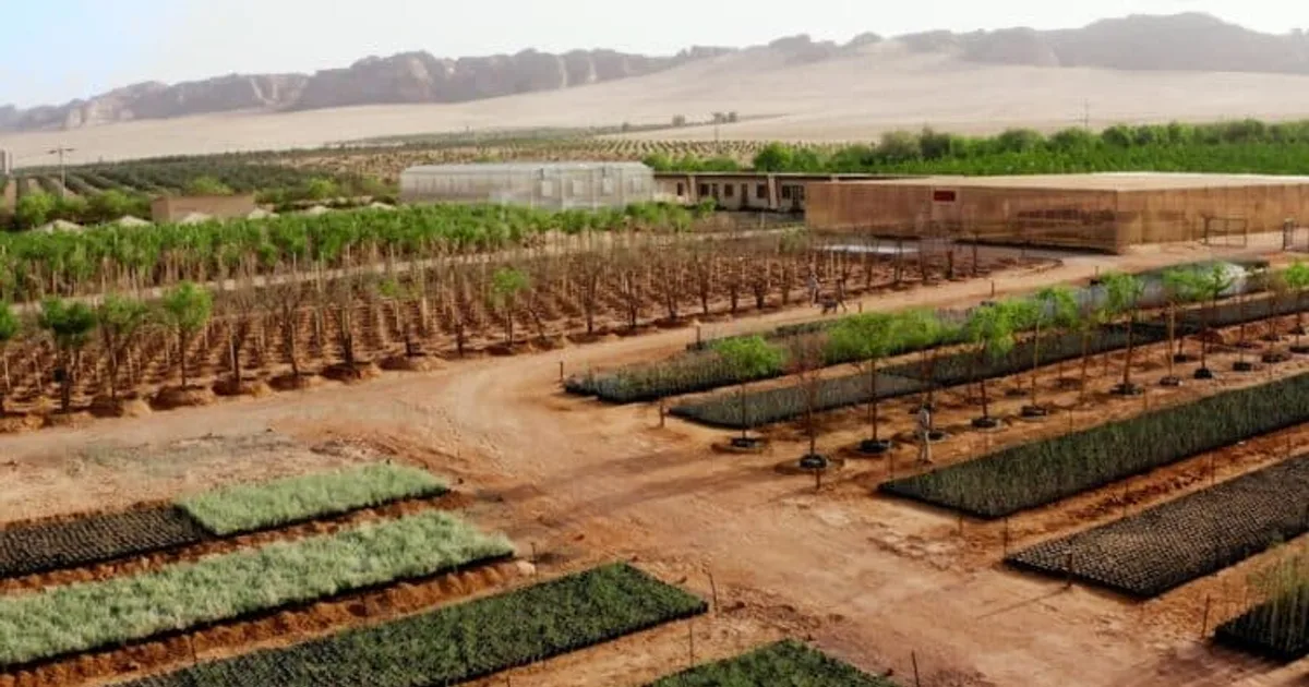 GreenTech يغزو العلا: استثمارات بمليارات الريالات في ٢٠٢٦