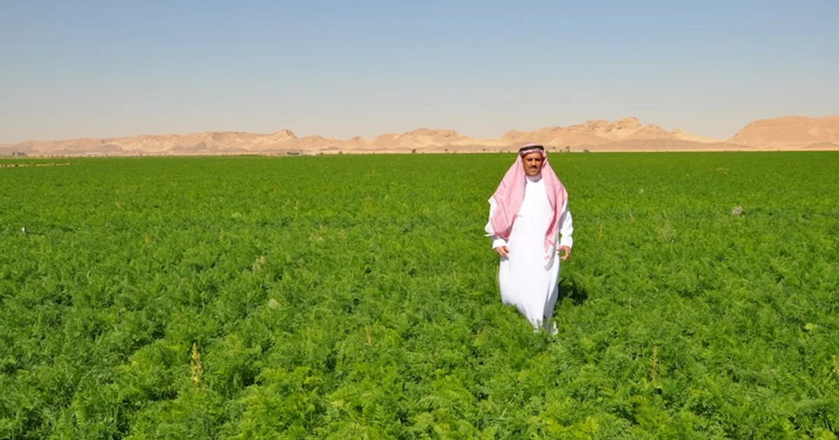 السعودي Food Independence Goal | العلا
