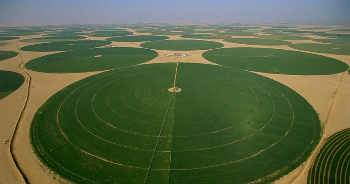السعودي AgriTech Desert Farming | ينبع