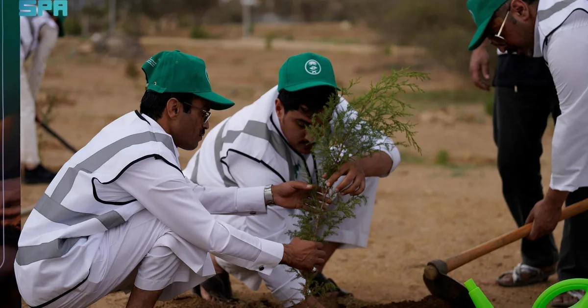 مبادرة السعودية الخضراء: استراتيجية التشجير الطموحة تفتح آفاق الاستثمار في الكربون والطاقة المتجددة