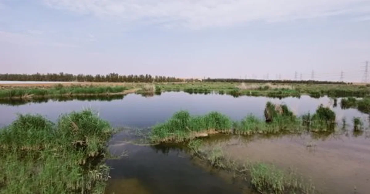 السعودي Water Security Strategy | أبها