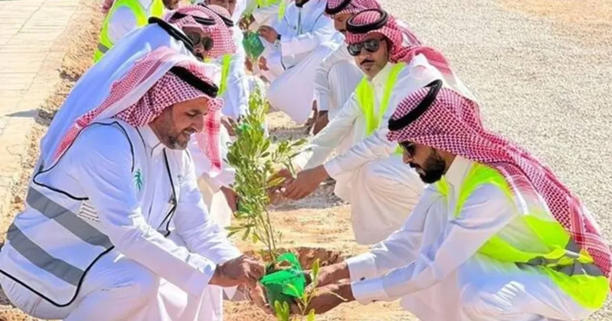 أفضل شركات التشجير وتنسيق الحدائق في السعودية