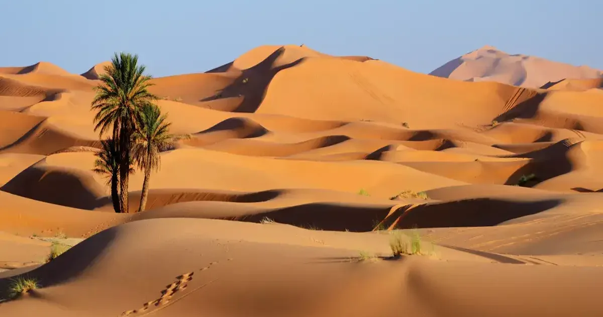 السياحة الصحراوية الفاخرة في الربع الخالي: تحول الصحراء إلى وجهات عالمية للاستجمام مع الحفاظ على البيئة