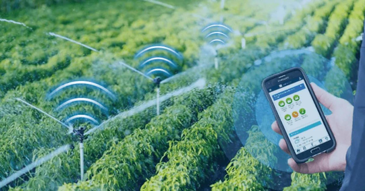 تطوير أول شبكة ذكاء اصطناعي متكاملة لإدارة الموارد المائية في السعودية: مشروع 'المياه الذكية' لتحسين كفاءة الري والاستدامة