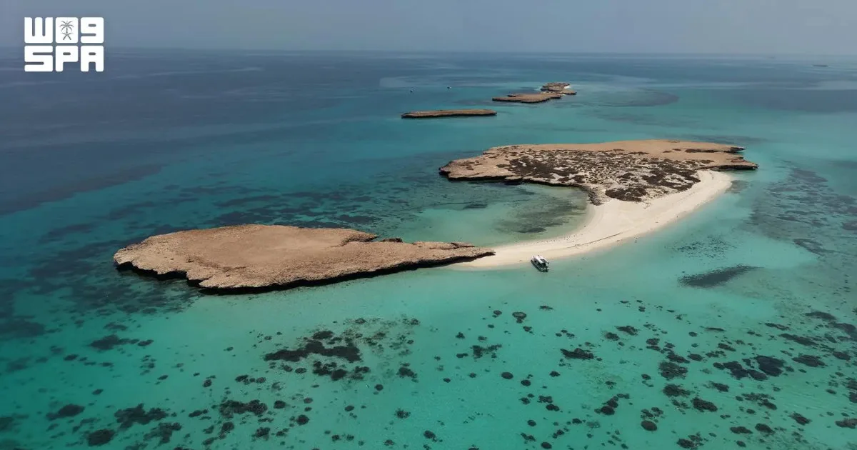 جزيرة فرسان: استراتيجيات السياحة البيئية المستدامة ضمن رؤية 2030
