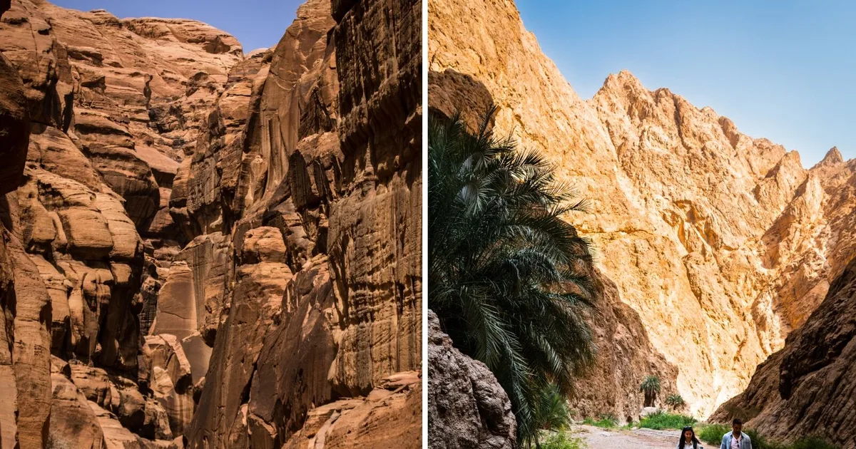 أفضل مسارات المشي والهايكنق في السعودية: اكتشف جمال الطبيعة في 2026