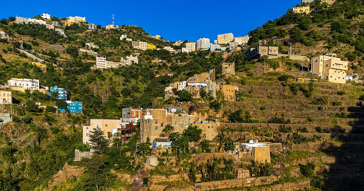 أفضل مناطق زراعة القهوة في جبال السعودية: دليل شامل للمزارعين والمستثمرين