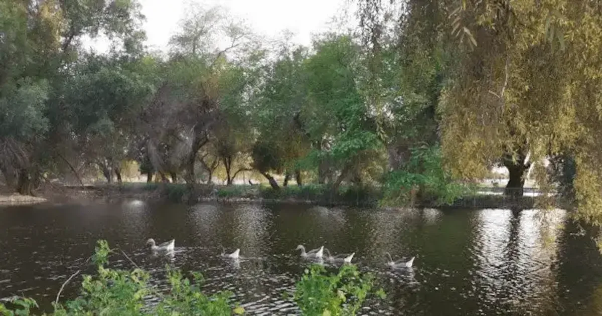 دليل أفضل مناطق حفر الباطن السياحية
