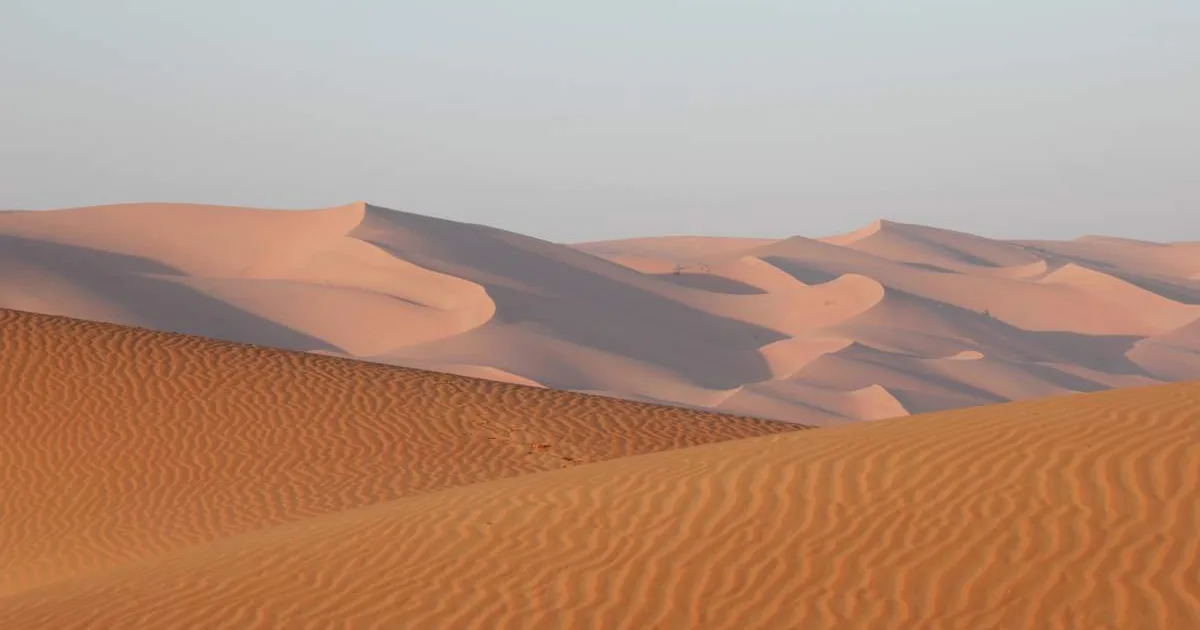 السعودية تطلق أكبر مشروع للطاقة الشمسية في العالم بقدرة 20 جيجاواط في الربع الخالي: شراكة مع شركات صينية وأمريكية