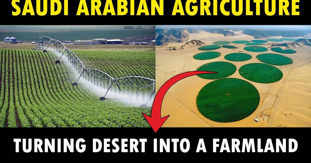 الذكاء الاصطناعي يحول الزراعة السعودية: حلول مبتكرة لترشيد استهلاك المياه