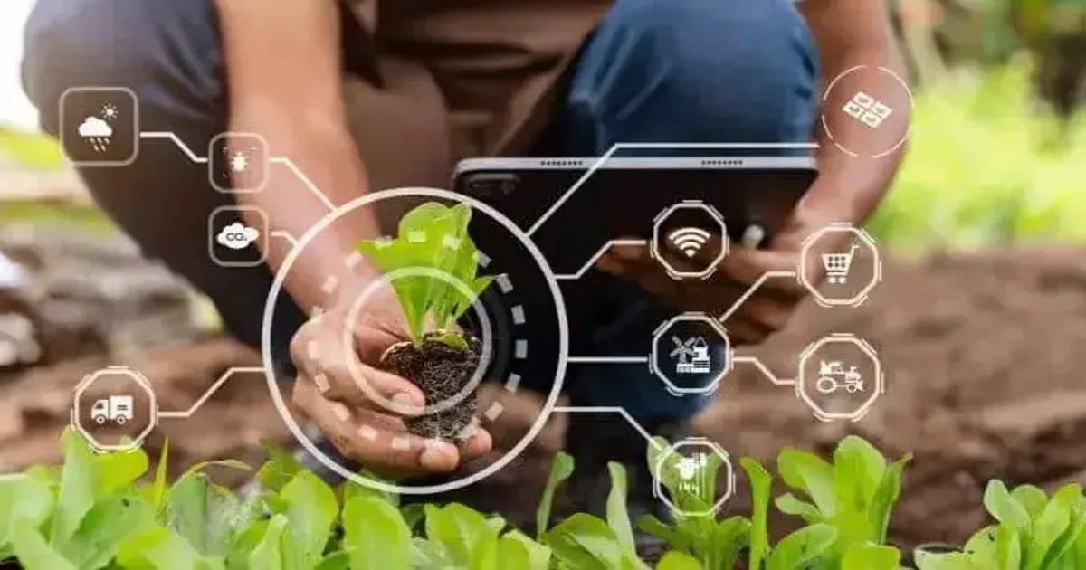 التحول الرقمي في القطاع الزراعي السعودي: إنترنت الأشياء والذكاء الاصطناعي لتحقيق الأمن الغذائي ضمن رؤية 2030