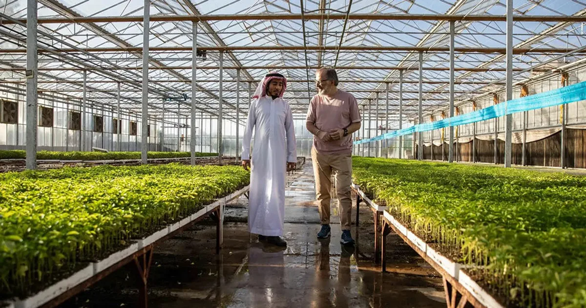 تطبيقات الذكاء الاصطناعي في الزراعة الذكية بالمملكة العربية السعودية: تحقيق الأمن الغذائي في ظل التغير المناخي