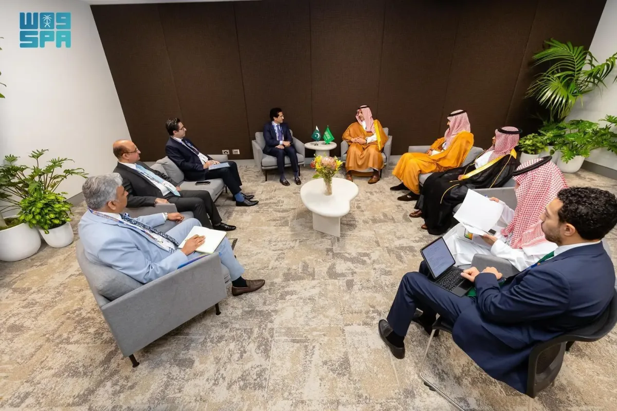 لماذا تركز السعودية على أفريقيا وأمريكا اللاتينية؟