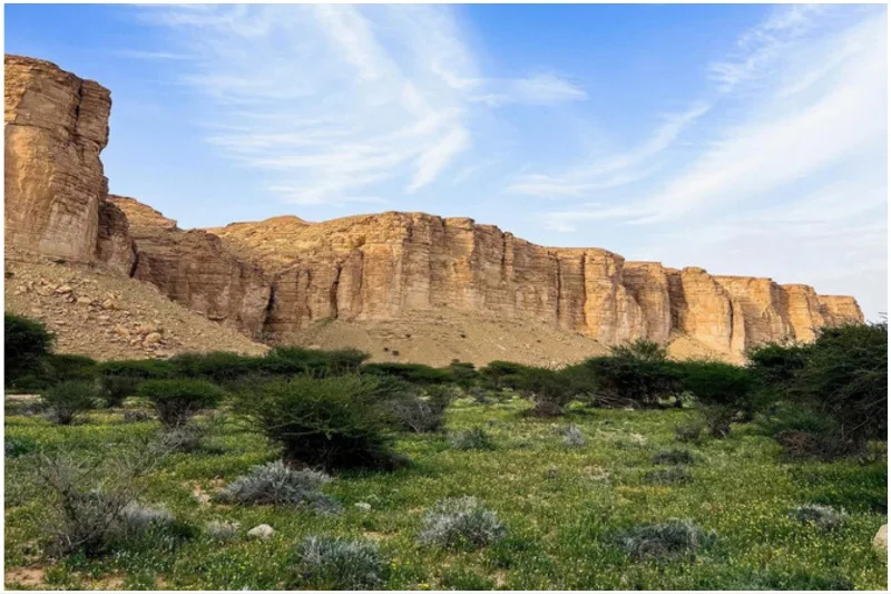 ما هي المحميات الطبيعية الجديدة التي أطلقتها السعودية في 2026؟