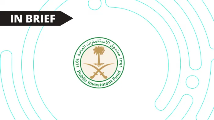 كيف سيتم توزيع استثمارات الصندوق الجديد؟