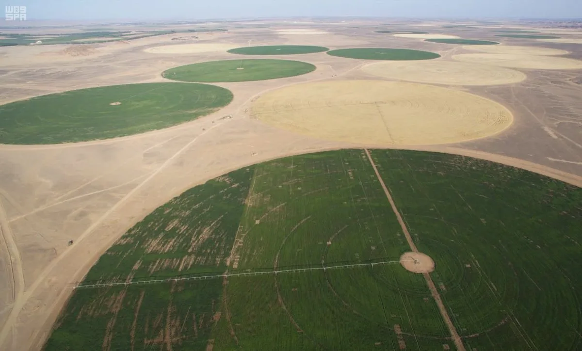ما هي مبادرة السعودية الخضراء ولماذا تركز على استصلاح الأراضي؟