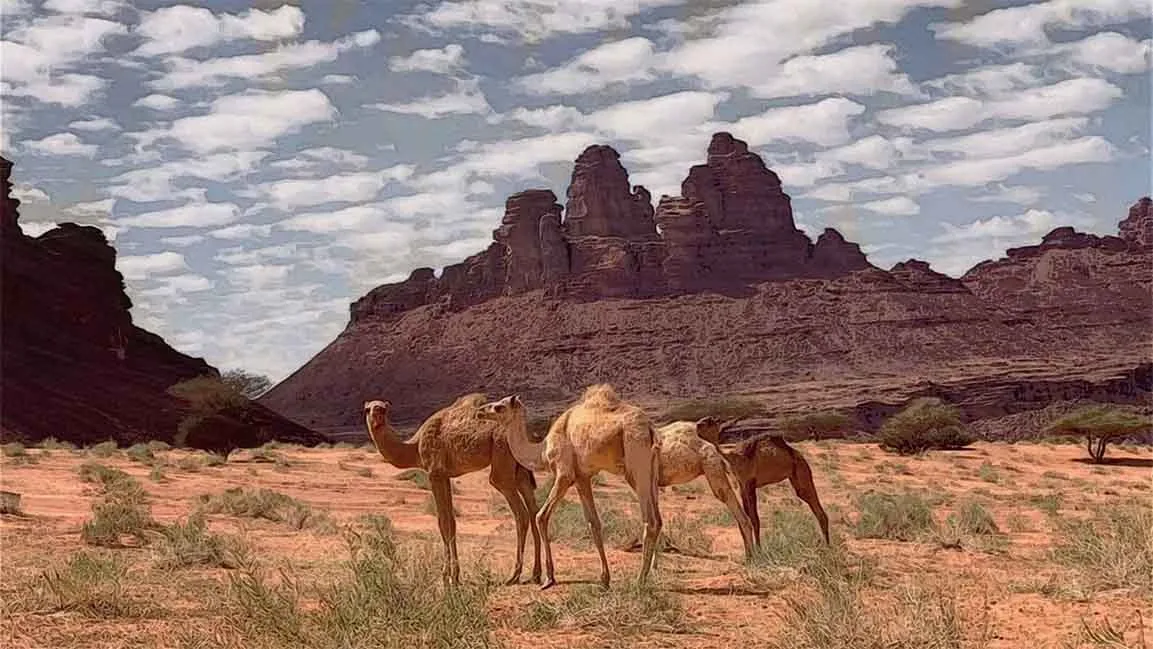 ما هي المحميات الطبيعية الجديدة التي تفتحها السعودية للسياحة البيئية في 2026؟