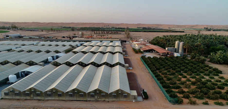 كيف تساهم المزارع العائلية في تحقيق الأمن الغذائي السعودي؟
