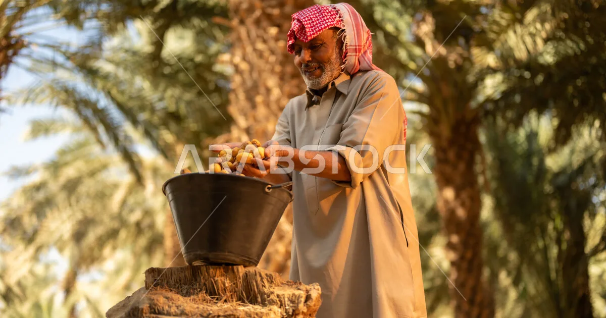 لماذا تشهد المملكة تحولاً ثقافياً نحو الزراعة العضوية؟