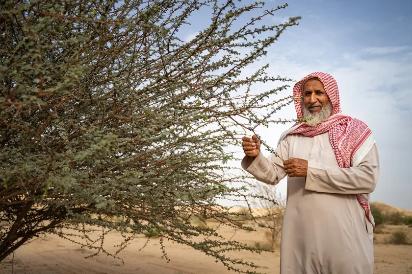 كيف تعمل مشاريع المركز الوطني للذكاء الاصطناعي ووزارة البيئة والمياه والزراعة معاً؟