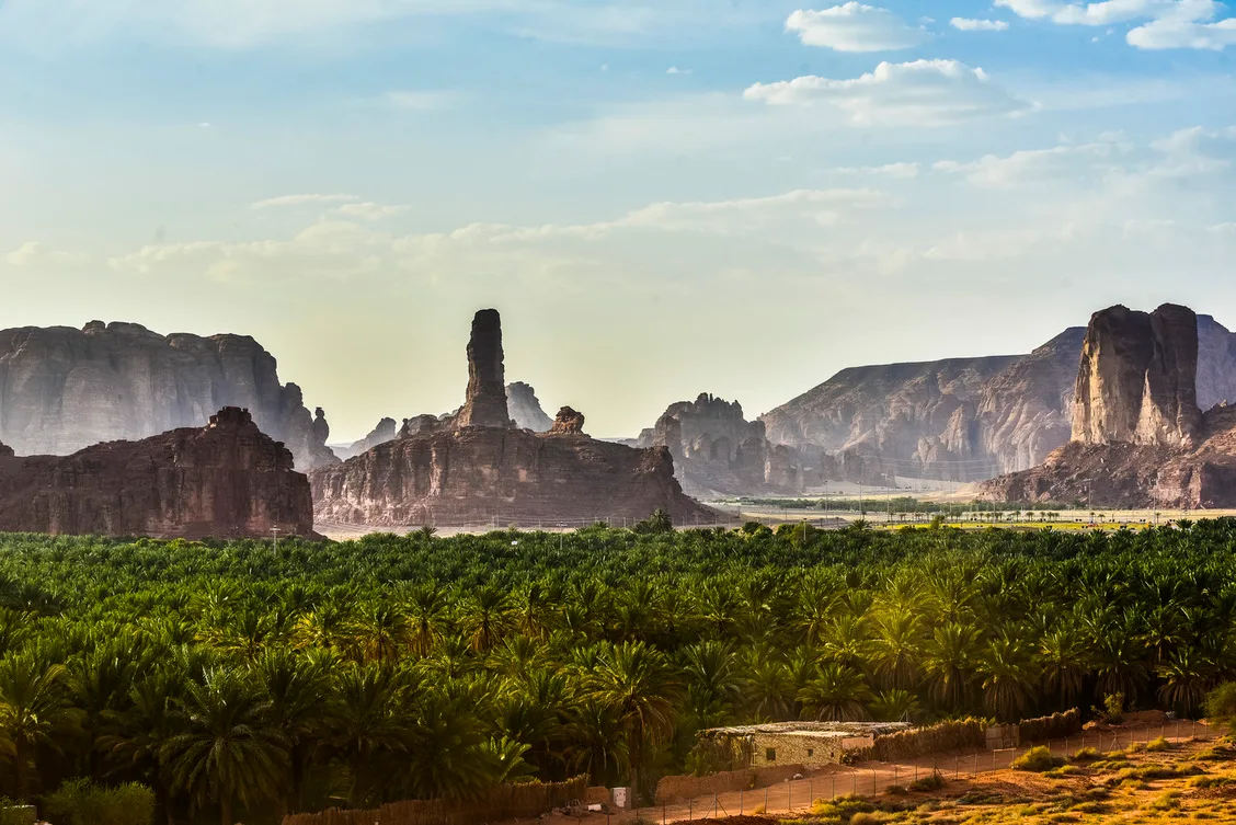 ما هي الخدمات التي تقدمها الهيئة؟