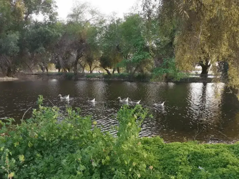 1. منتزه الملك عبدالله البيئي