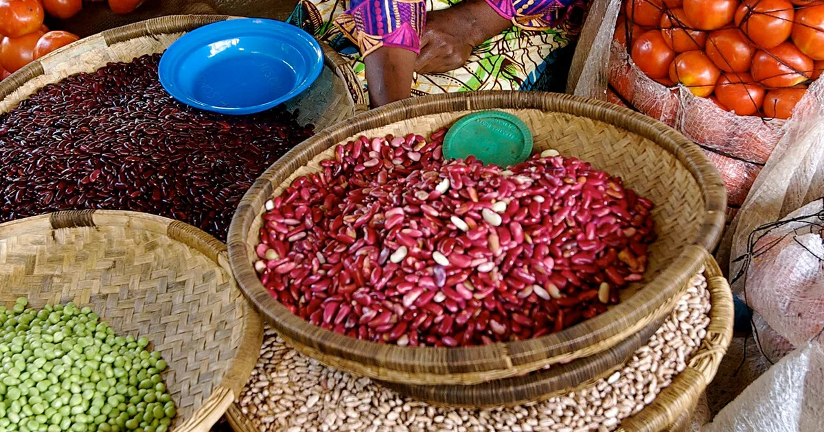 كيف تؤثر هذه المنتجعات على السياحة البيئية في الربع الخالي؟